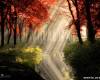 <b>Название: </b>x_713e56f0, <b>Добавил:<b> admin<br>Размеры: 490x327, 81.9 Кб