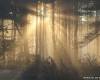 <b>Название: </b>x_6a447277, <b>Добавил:<b> admin<br>Размеры: 490x327, 61.5 Кб