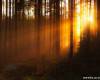 <b>Название: </b>x_22598118, <b>Добавил:<b> admin<br>Размеры: 490x333, 61.7 Кб