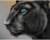 <b>Название: </b>novye_graffiti_na_stenku_v_kontakte_2, <b>Добавил:<b> Илья777<br>Размеры: 587x296, 34.6 Кб