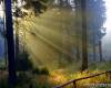 <b>Название: </b>x_8540dba6, <b>Добавил:<b> admin<br>Размеры: 490x368, 77.7 Кб