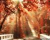 <b>Название: </b>x_0d998fcc, <b>Добавил:<b> admin<br>Размеры: 490x368, 114.7 Кб