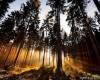 <b>Название: </b>x_4374f57e, <b>Добавил:<b> admin<br>Размеры: 490x360, 106.4 Кб