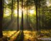 <b>Название: </b>x_024ae458, <b>Добавил:<b> admin<br>Размеры: 490x327, 87.2 Кб