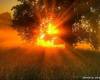 <b>Название: </b>x_bd4b95fa, <b>Добавил:<b> admin<br>Размеры: 490x326, 73.4 Кб