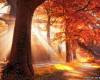 <b>Название: </b>x_9acc52cb, <b>Добавил:<b> admin<br>Размеры: 490x327, 96.7 Кб