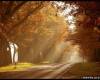 <b>Название: </b>x_617f4247, <b>Добавил:<b> admin<br>Размеры: 490x330, 76.3 Кб